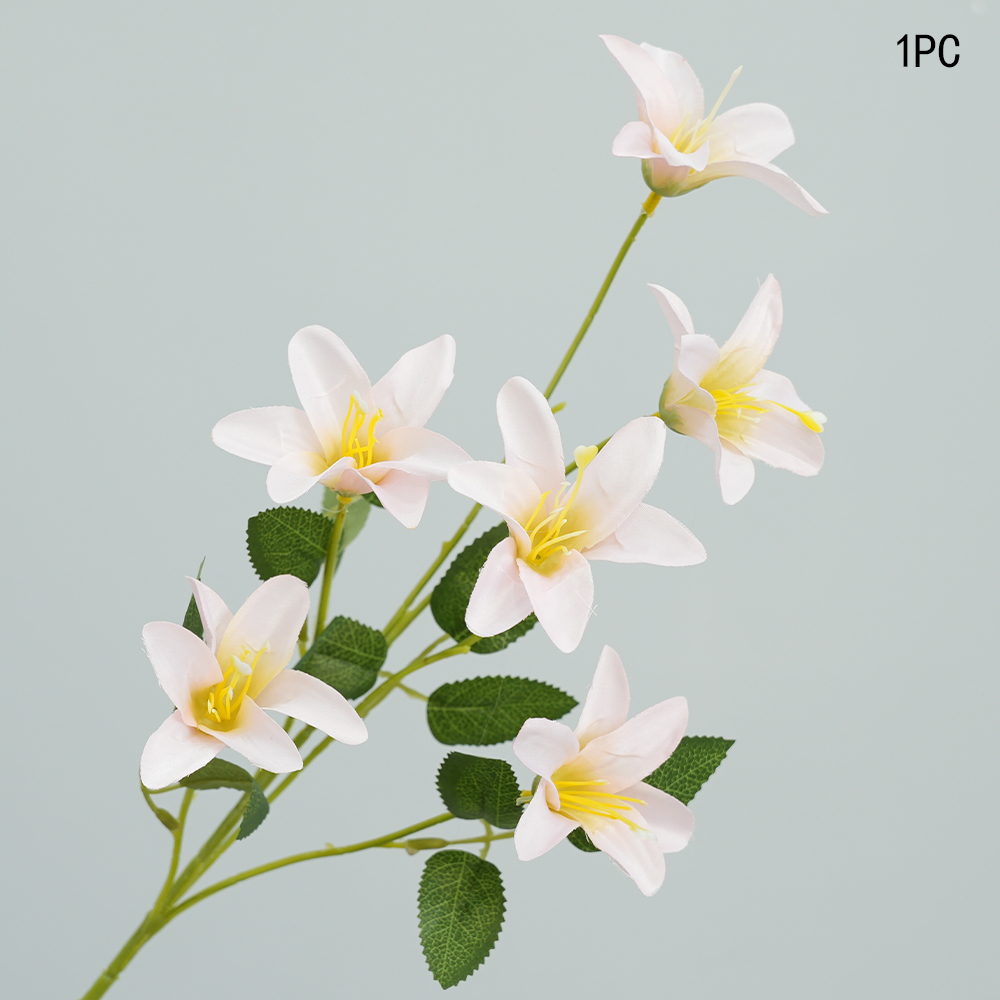 Small simulation Lily