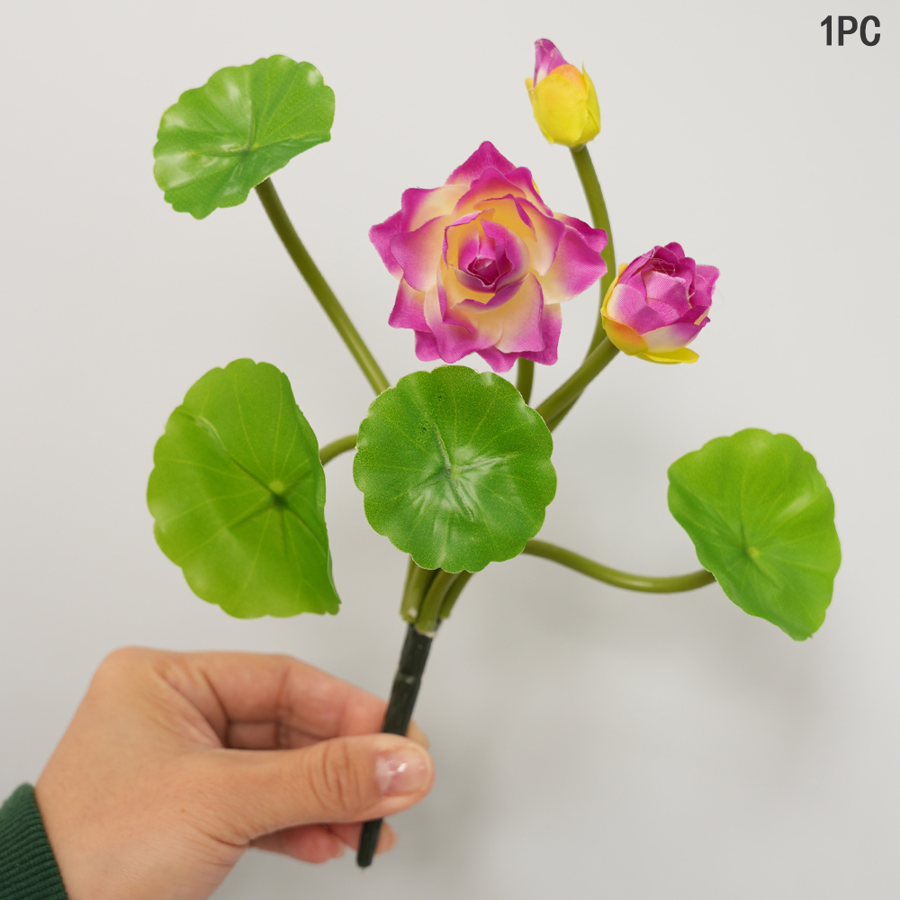 Simulation Small Lotus