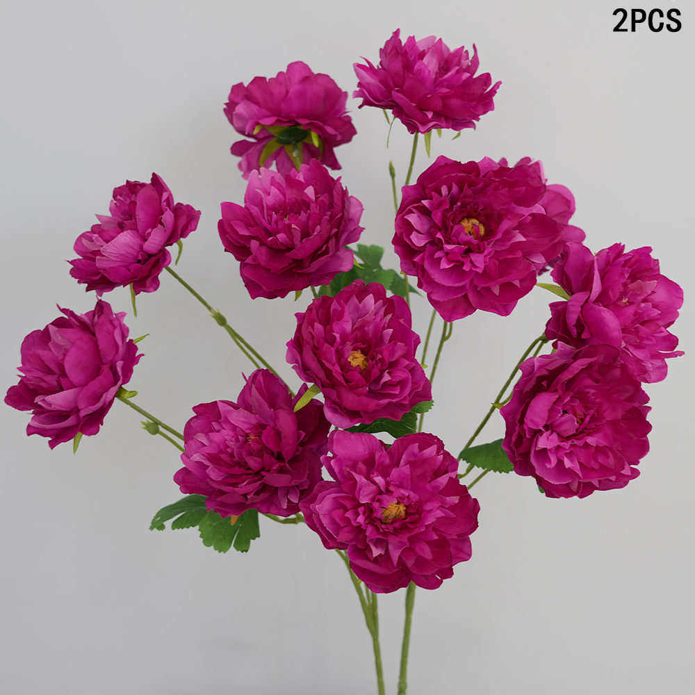 6 peony bouquets