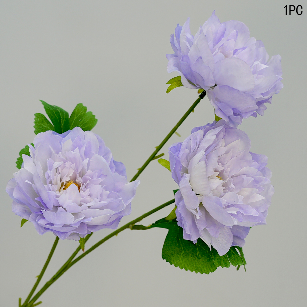 3-Head Peony