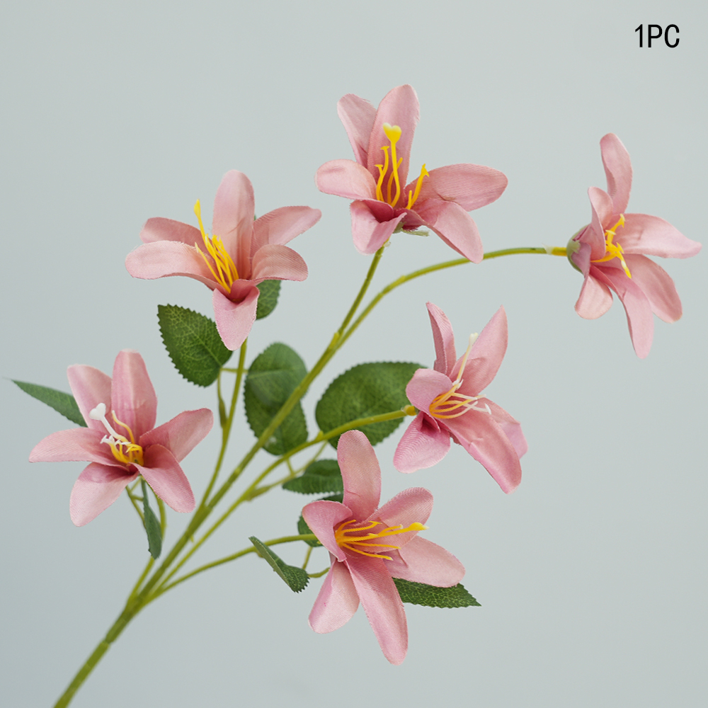 Small simulation Lily