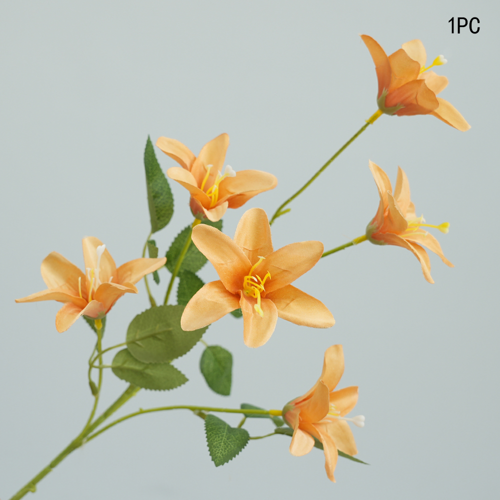 Small simulation Lily