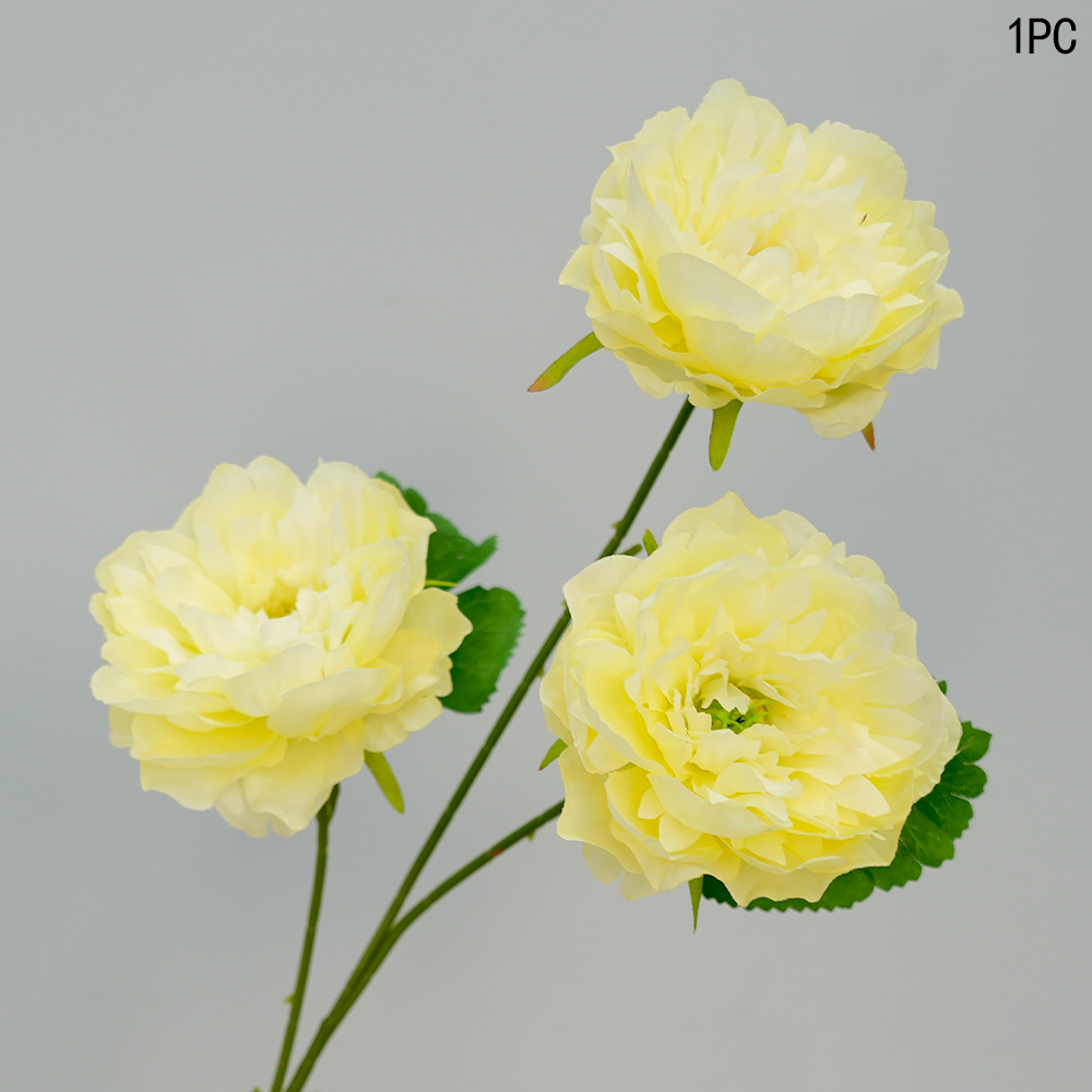 3-Head Peony