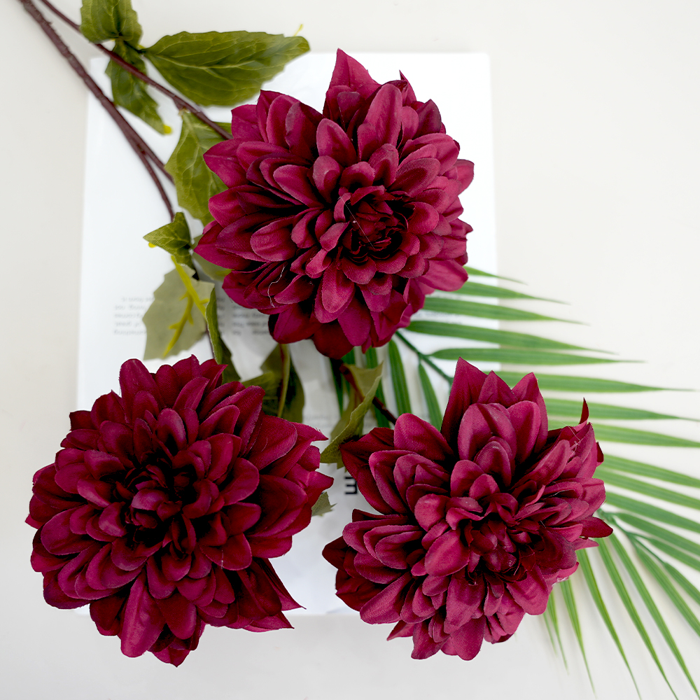 Simulation of Dahlia