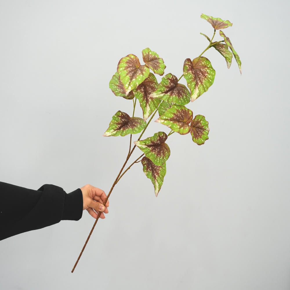 simulate begonia plants