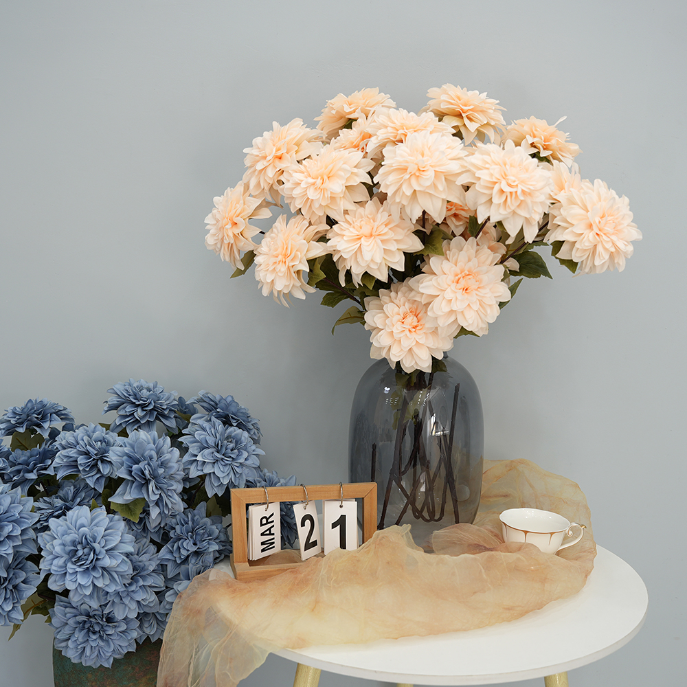 Simulation of Dahlia