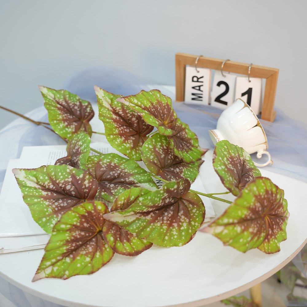 simulate begonia plants