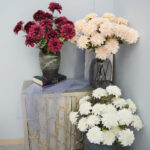 Simulation of Dahlia