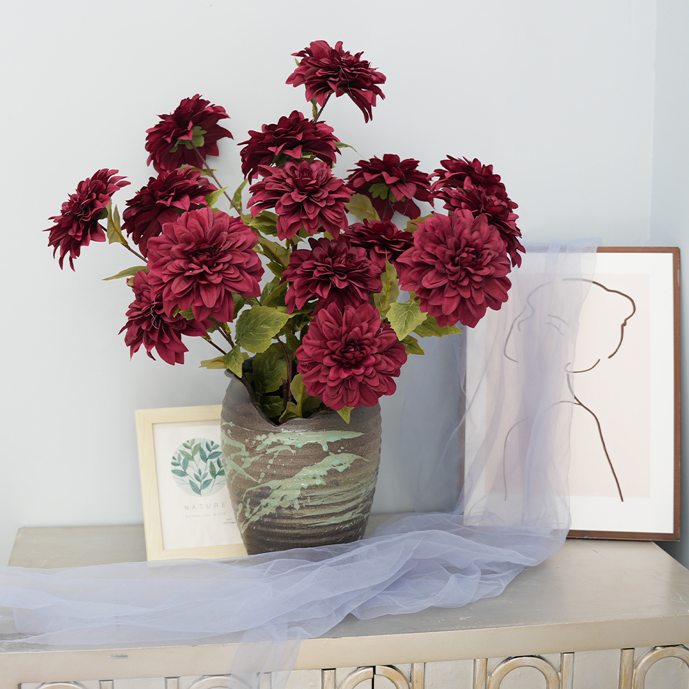 Simulation of Dahlia