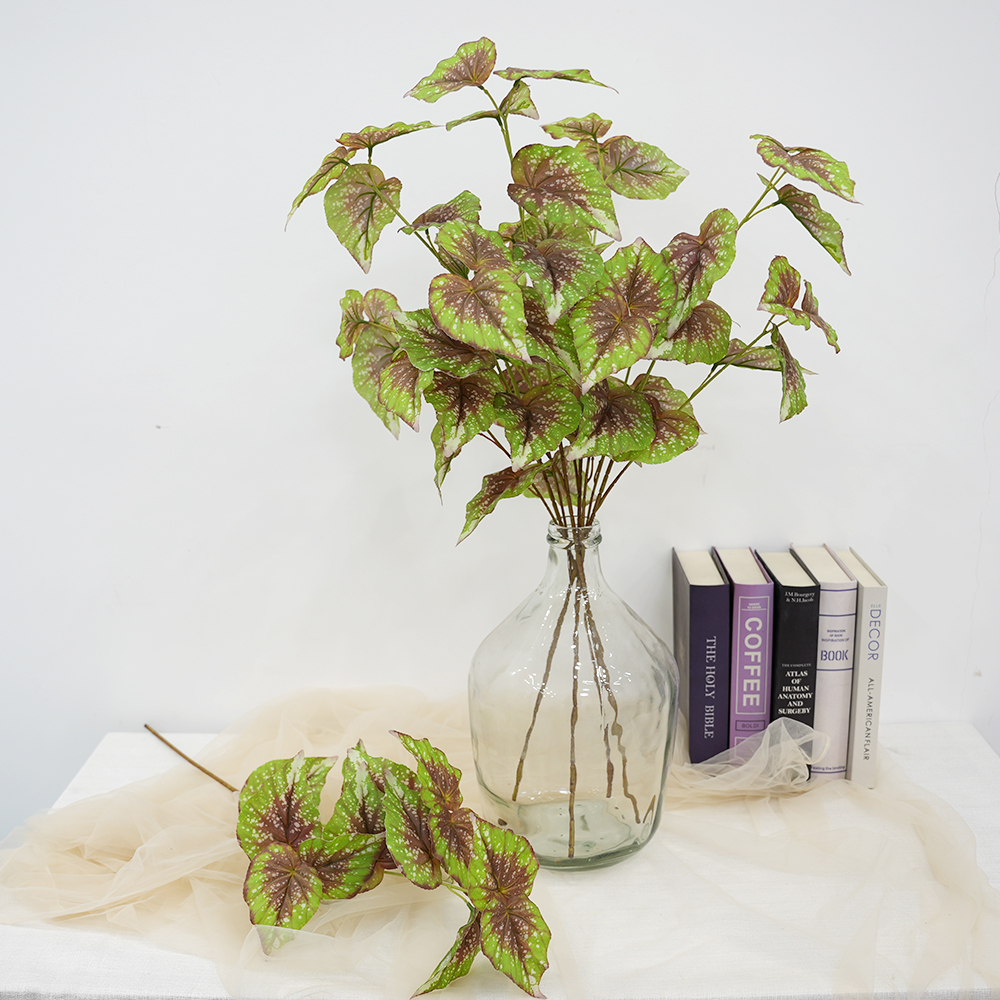 simulate begonia plants