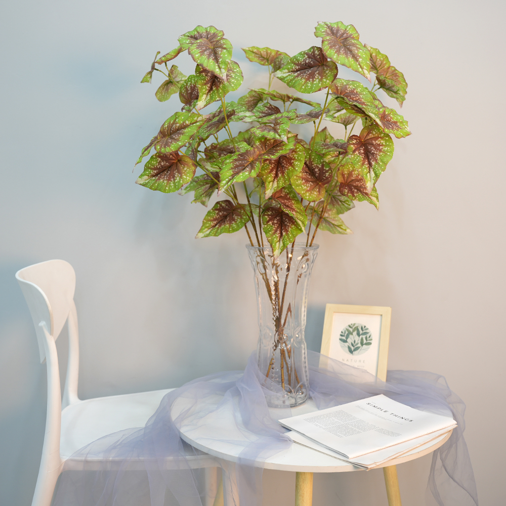 15 simulate begonia plants