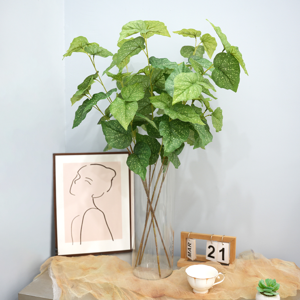 simulate begonia plants