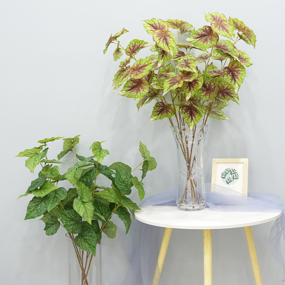 15 simulate begonia plants