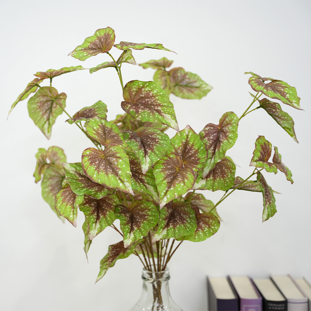 15 simulate begonia plants