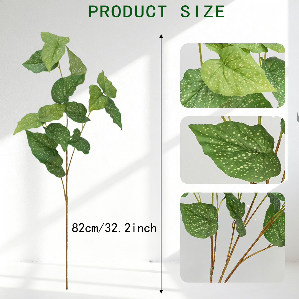simulate begonia plants