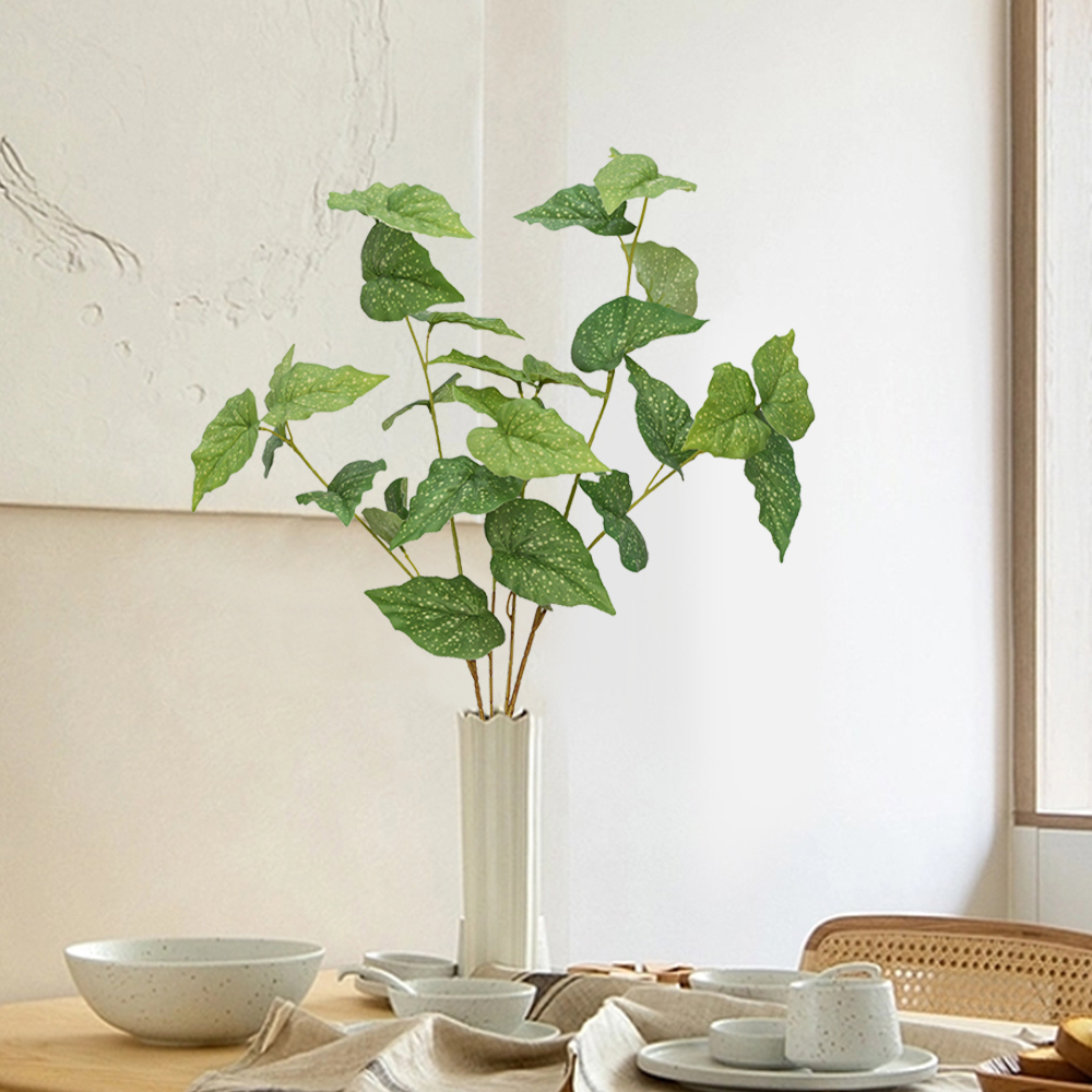 simulate begonia plants