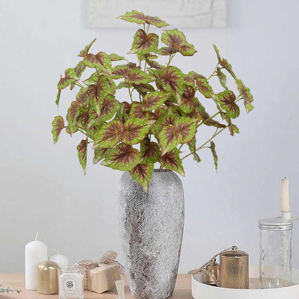 15 simulate begonia plants