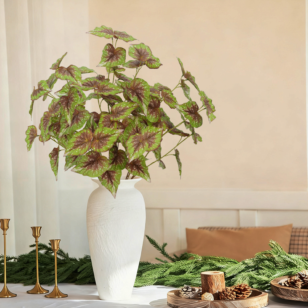 15 simulate begonia plants