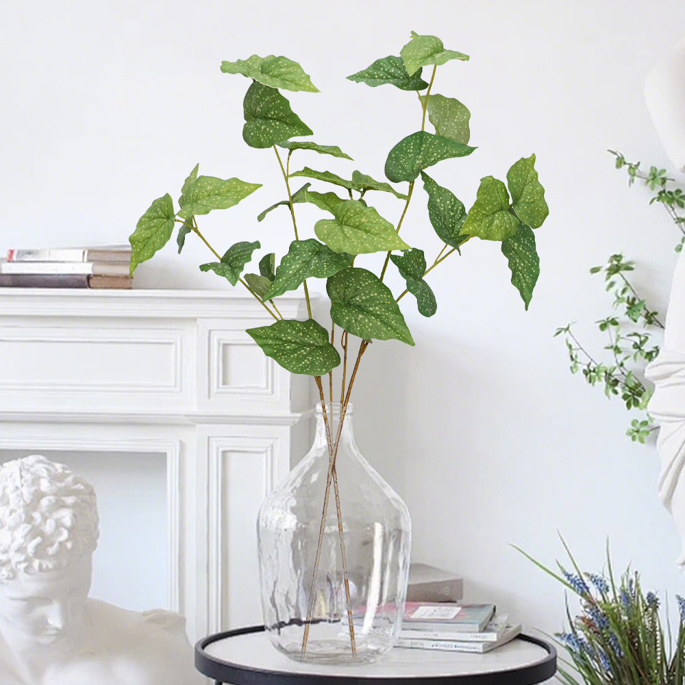 15 simulate begonia plants