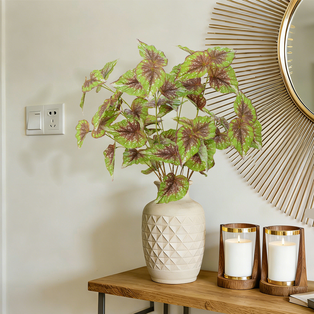 15 simulate begonia plants