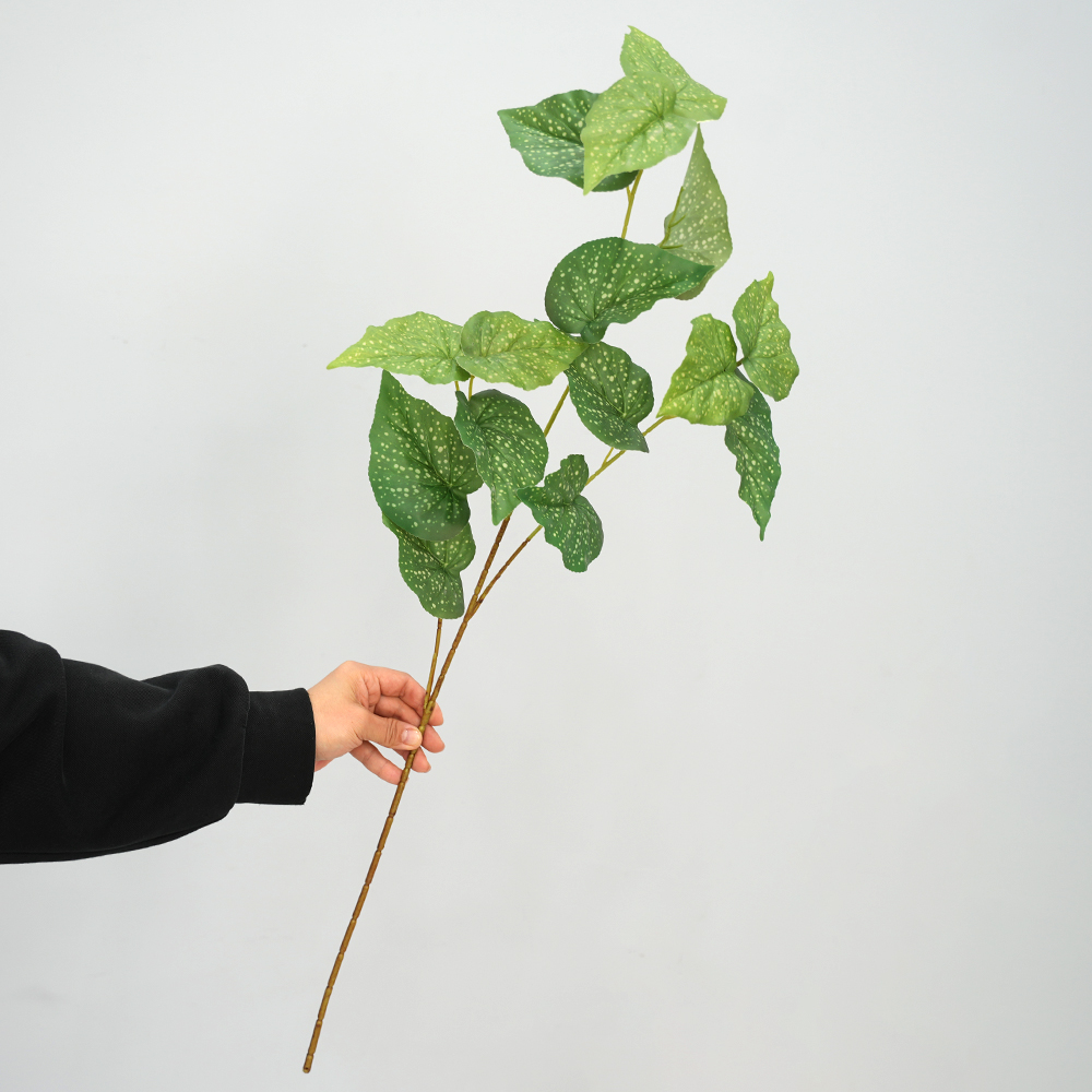 simulate begonia plants