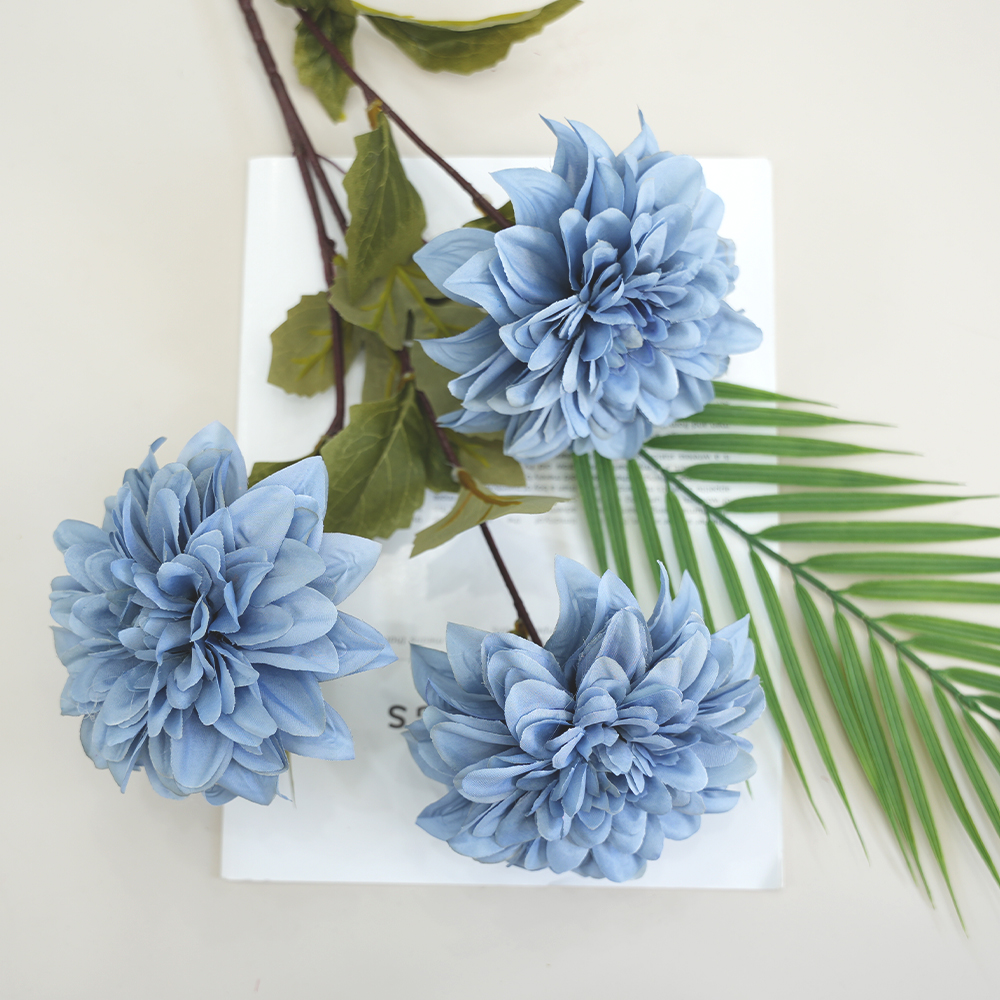 Simulation of Dahlia