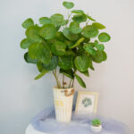 artificial Money leaf