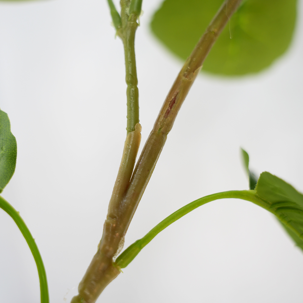 artificial Money leaf