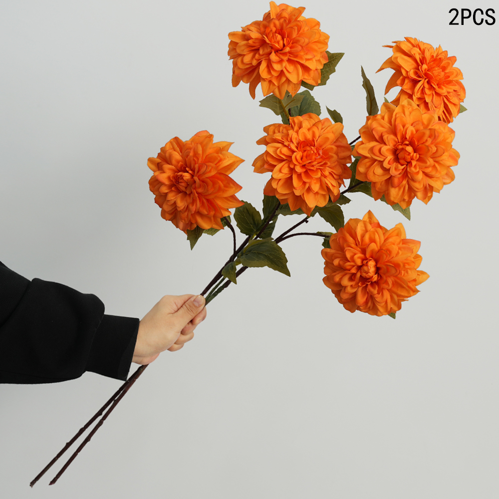 Simulation of Dahlia