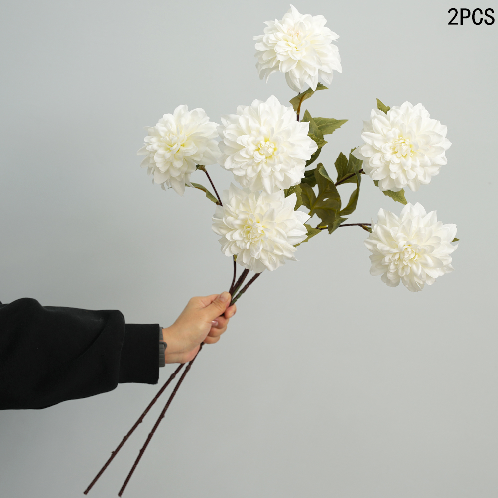 Simulation of Dahlia