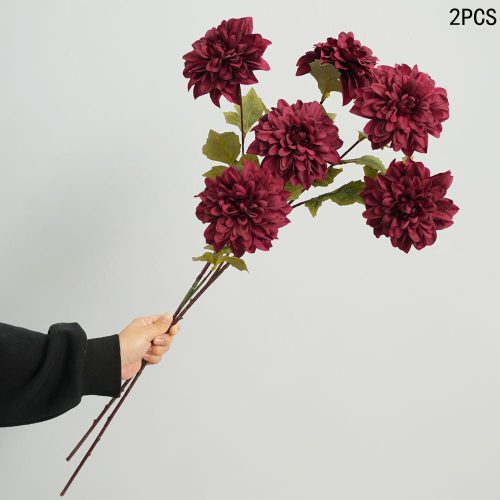 Simulation of Dahlia