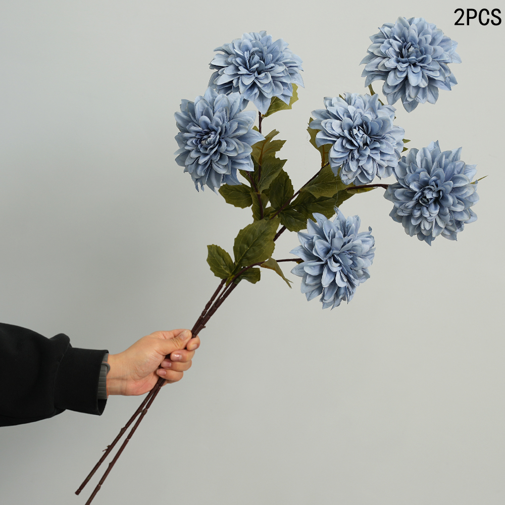 Simulation of Dahlia