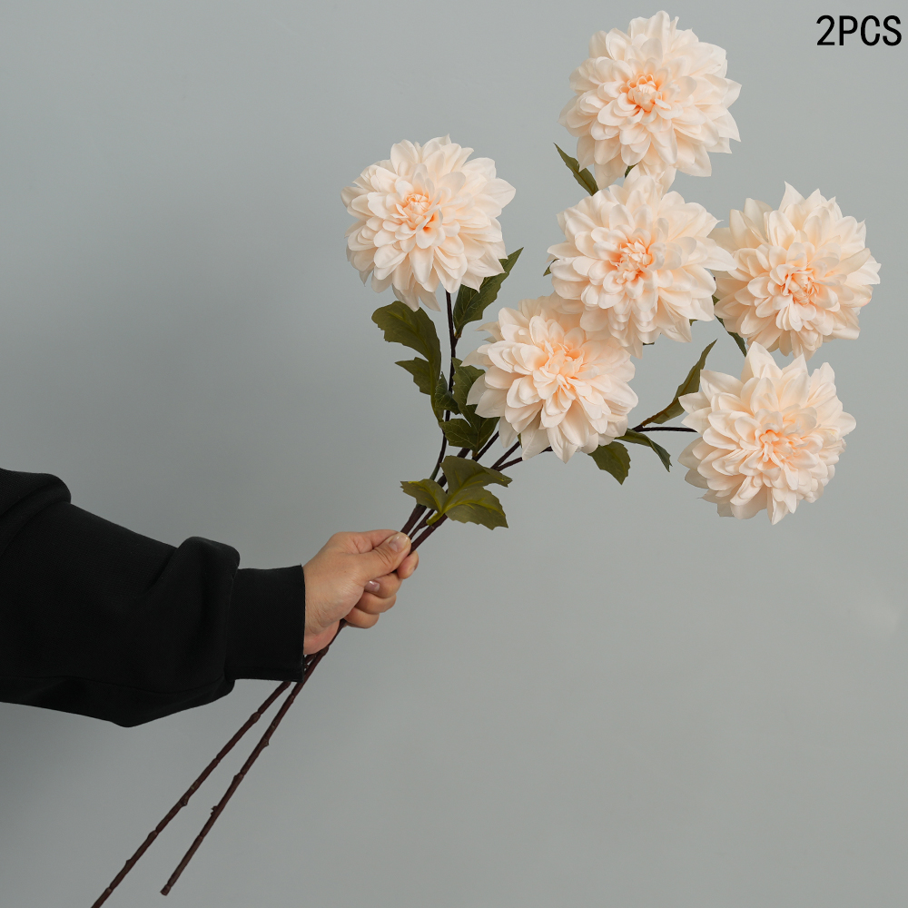 Simulation of Dahlia