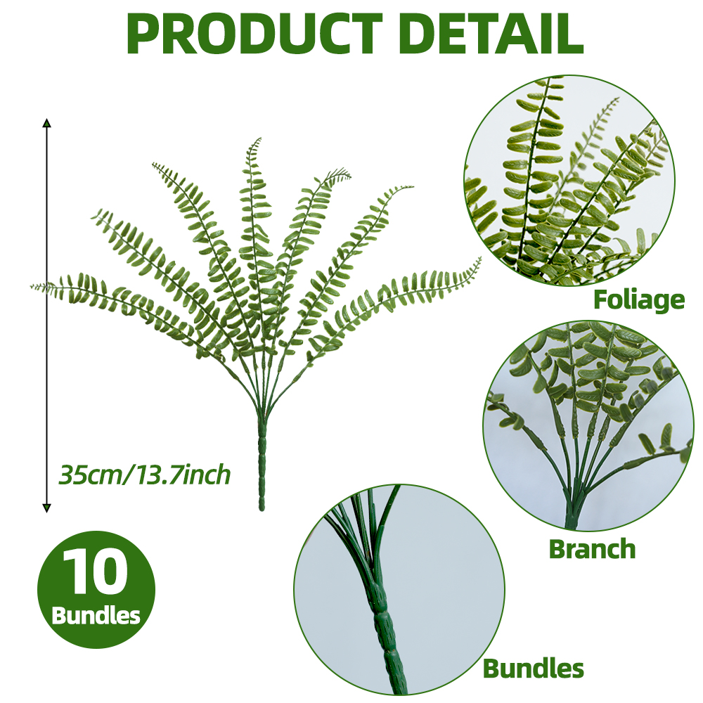 Persian Fern Leaves