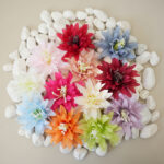 Chrysanthemum Head