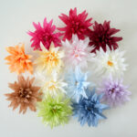 simulation chrysanthemum