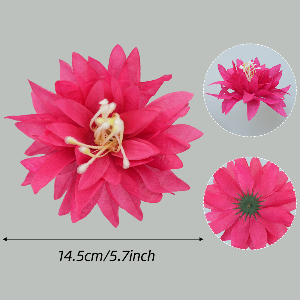 Chrysanthemum Head