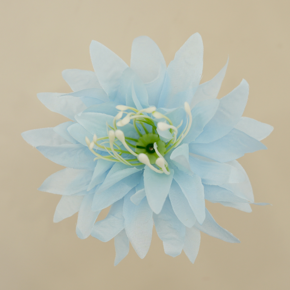 Chrysanthemum Head
