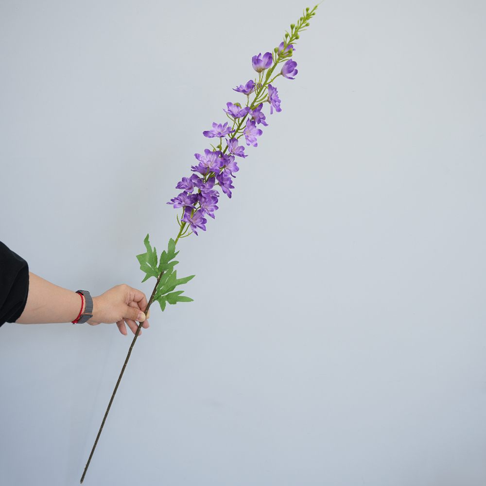 Simulation of Delphinium