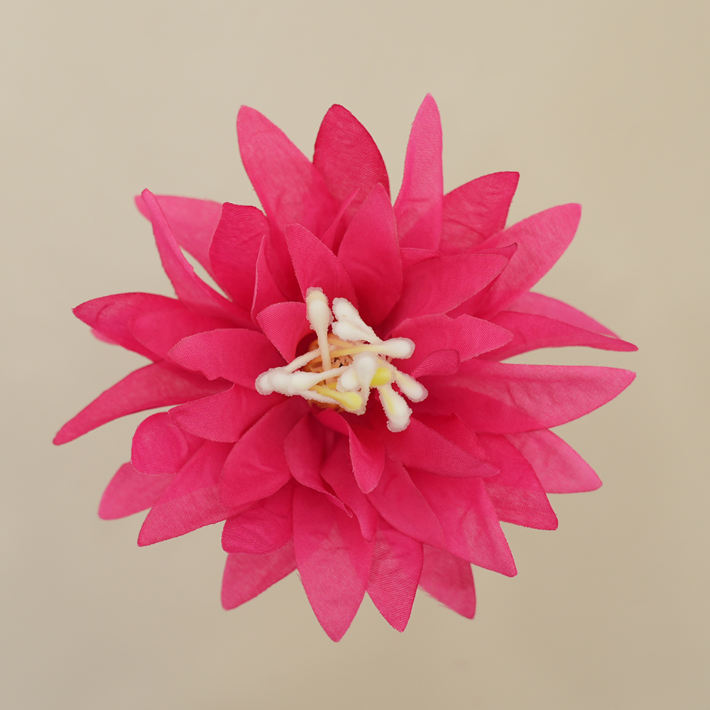 Chrysanthemum Head
