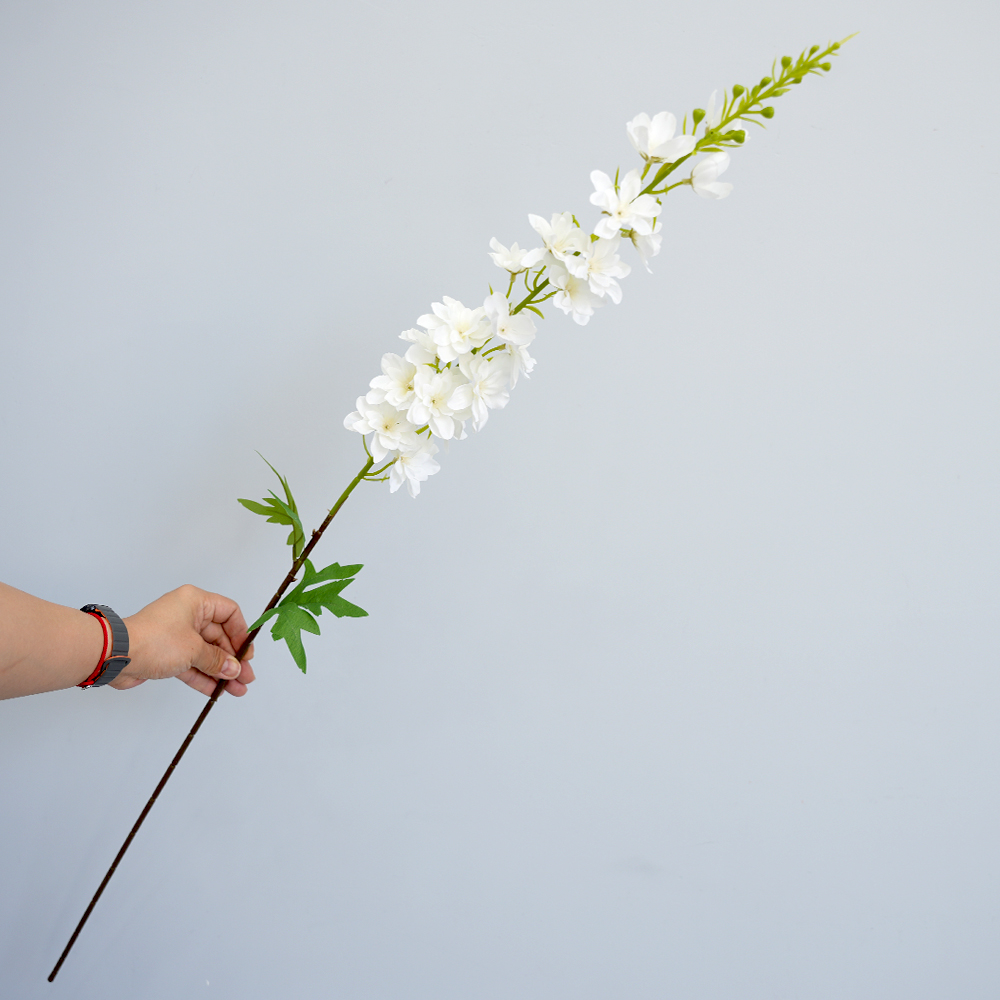 Simulation of Delphinium