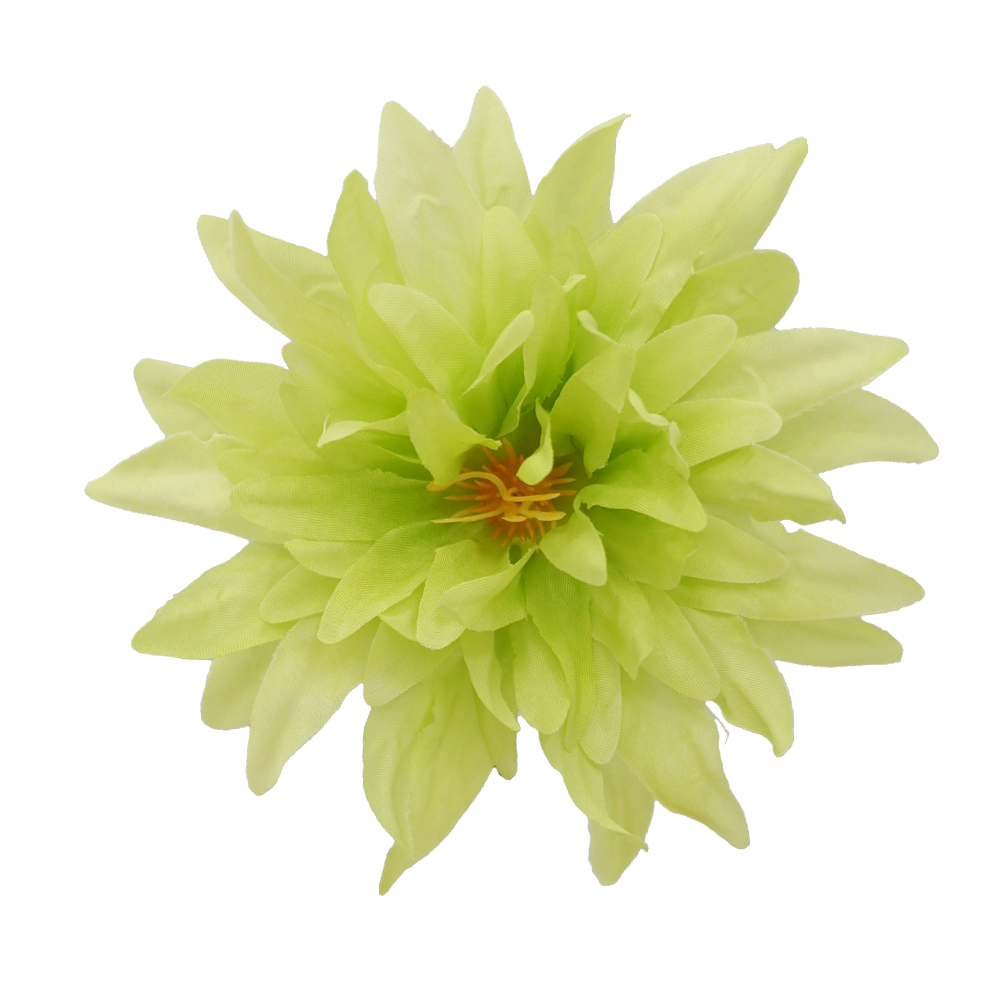 simulation chrysanthemum