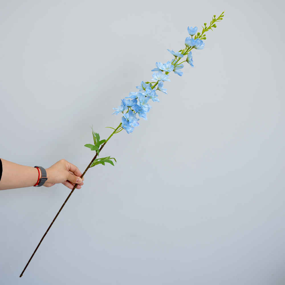 Simulation of Delphinium