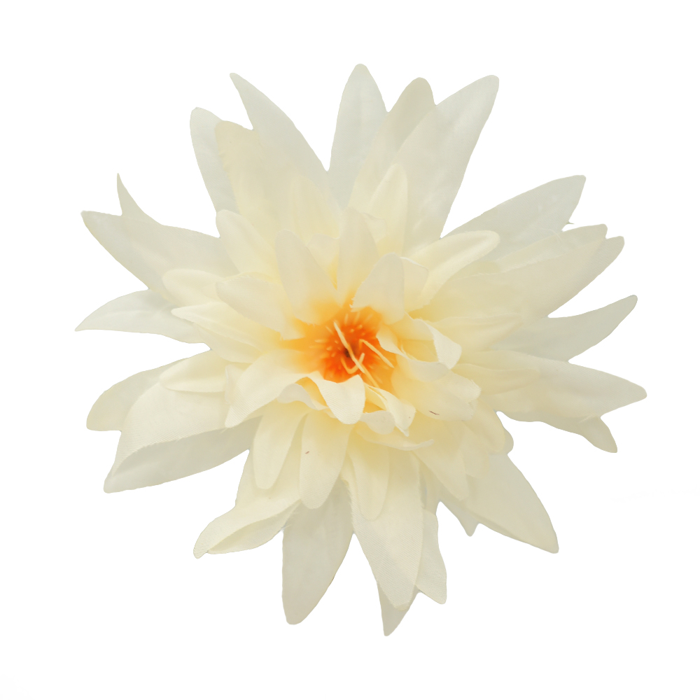 simulation chrysanthemum